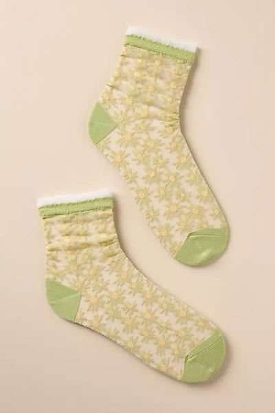 Casa Clara Azalea Sheer Socks In Green