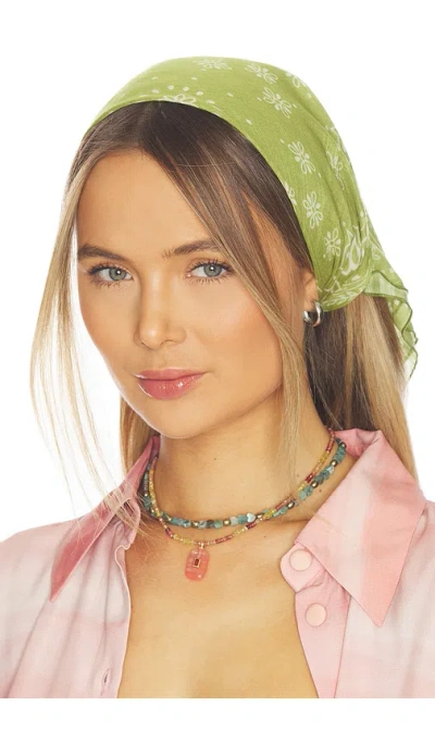 Casa Clara Darcy Scarf In Orange