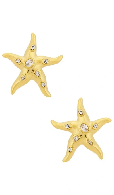 Casa Clara Marley Earrings In Gold