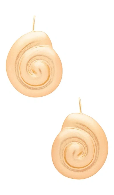 Casa Clara Nautilus Earrings In 金色