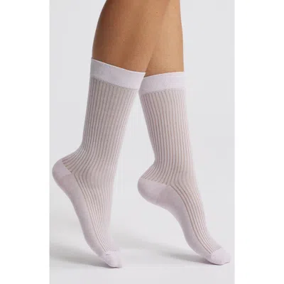 Casa Clara Prep Rib Crew Socks In Purple