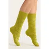 Casa Clara Rayes Crew Socks In Green