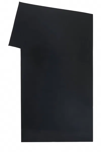 Casa Clara Tahlia Chiffon Scarf In Black In Brown