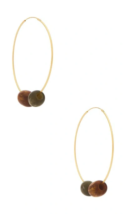 Casa Clara Treasure Hoop Earing In Gold