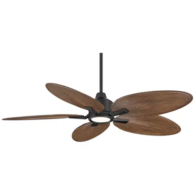 Casa Vieja 52"  Bayleaf Black Walnut Indoor/outdoor Led Ceiling Fan