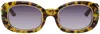 Casablanca Brown Laurel Sunglasses In T-shell/ Gold/ Laure