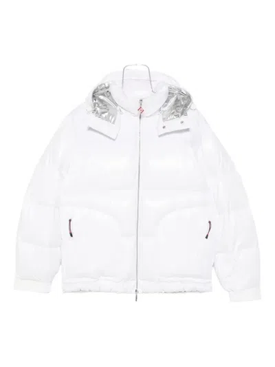 Casablanca Hooded Padded Jacket In Animal Print