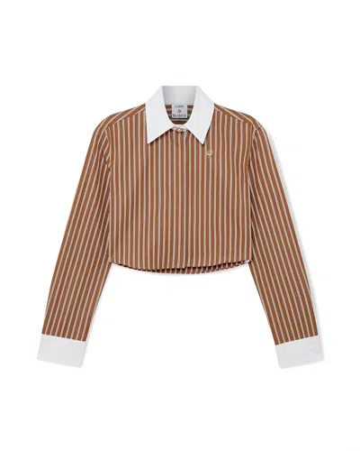 Casablanca Lapel Long Sleeve Shirt In Brown