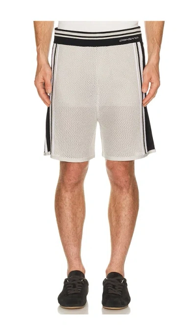 Casablanca Metallic Mesh Stripe Shorts In Neutral
