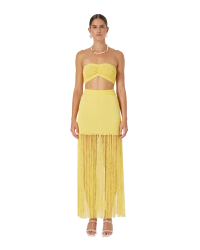 Casablanca Paris Fringed Knit Skirt In Yellow