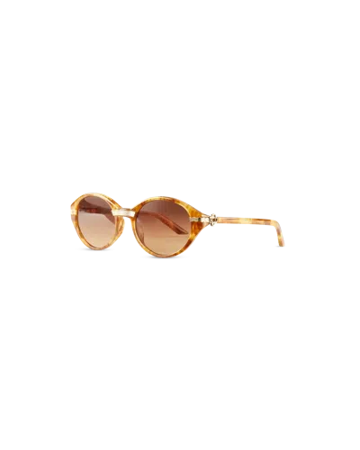 Casablanca Paris Gold & Brown Cannes Sunglasses By  In Multi