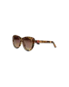 Casablanca Paris Gold & Brown The Wing Sunglasses By  In Multi