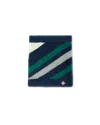 Casablanca Paris Stripe Fluffy Skirt In Blue
