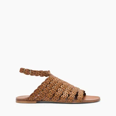 Casadei Avenida Flat - Woman Flats And Loafers Havana 38 In Brown