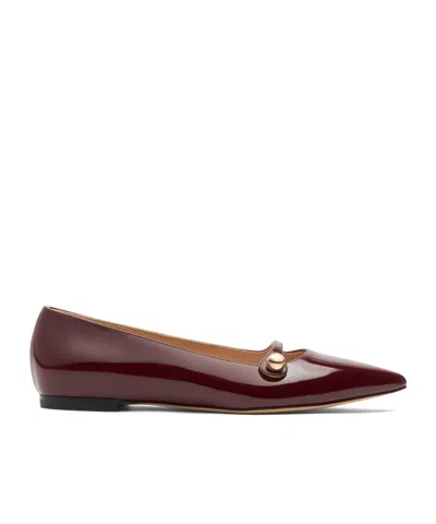 Casadei Ballet Flats In Brown