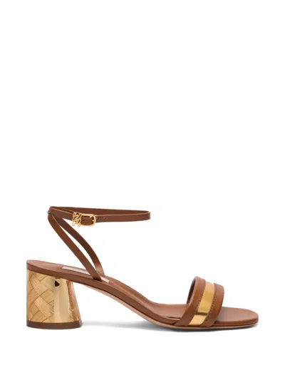 Casadei Buckle-strap Heeled Sandals In Brown