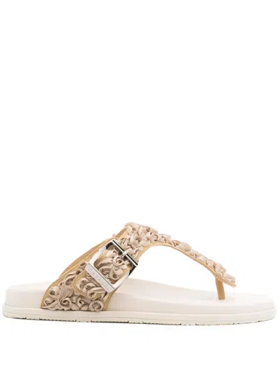 Casadei Buckle T-bar Slides In Brown