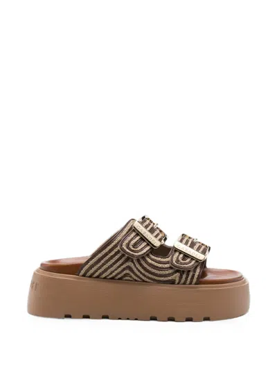 Casadei Buckle-fastening Platform Sandals In Brown