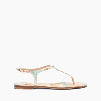 Casadei Cathedral Flat - Woman Flats And Loafers 40 In Multi