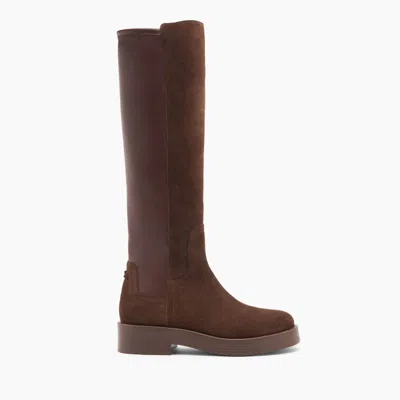 Casadei Charlie Stretch Suede Boots - Woman High Boots Cocoa 39