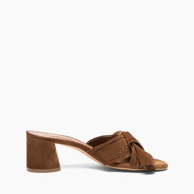 Casadei Cleo Xanadou Knotted Suede Mules In Brown