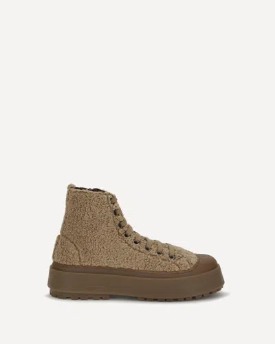 Casadei Explorer Sneakers In Brown