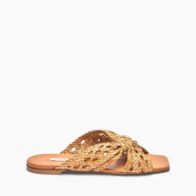 Casadei Flat Damier Versilia - Woman Flats And Loafers Natur 41