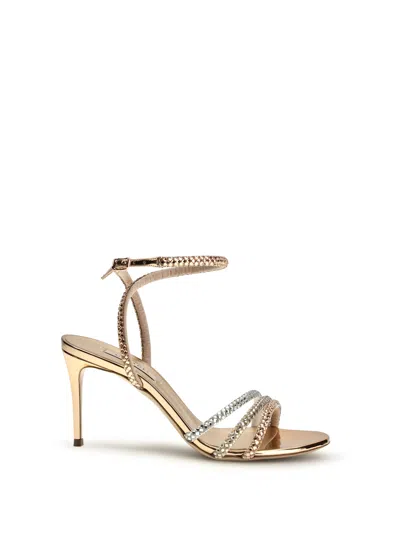 Casadei Julia Andromedea Embellished Ankle Strap Sandals In Pink