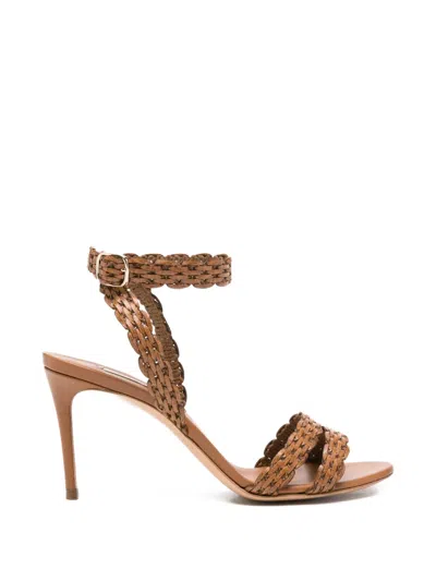 Casadei Julia Avenida Woven-strap Ankle-buckle Sandals In Brown