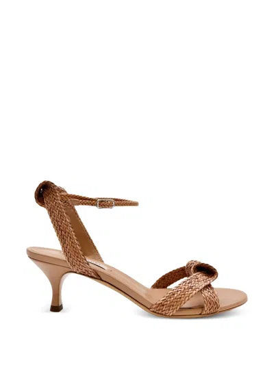Casadei Julia Mariposa Knotted Woven Sandals In Brown
