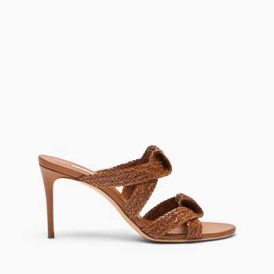 Casadei Julia Mariposa Mule - Woman Mules Havana 37.5 In Multi