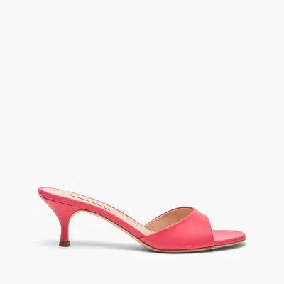 Casadei Heeled Shoes Fuchsia In Red