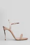 Casadei Julia Stratosphere Sandals In Bronze Leather In Brown