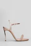 Casadei Julia Stratosphere Sandals In Bronze Leather In Bronze
