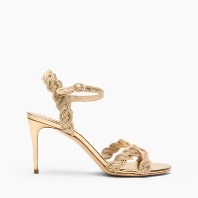 Casadei Julia Thaiti Sandals - Woman Sandals Gold 36.5 In Multi