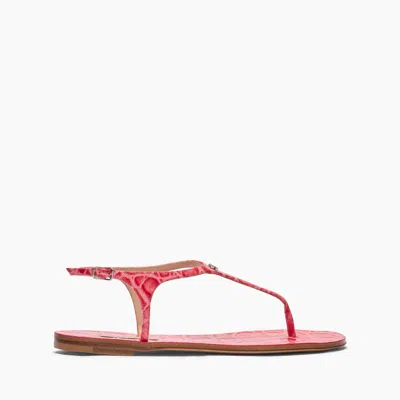 Casadei Jurassik Thong Sandals - Woman Flats And Loafers Coral 36