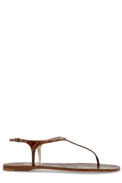 Casadei Jurassik Sandals In Brown
