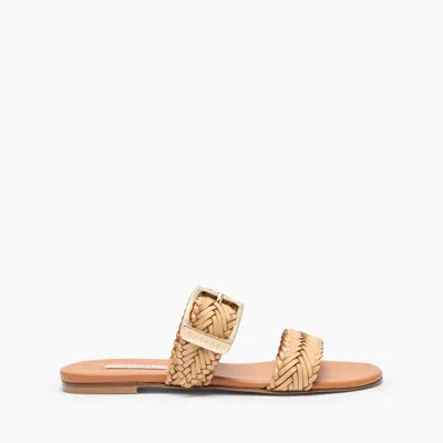 Casadei Kenya Slide Sandal - Woman Flats And Loafers Natural 41 In Nude