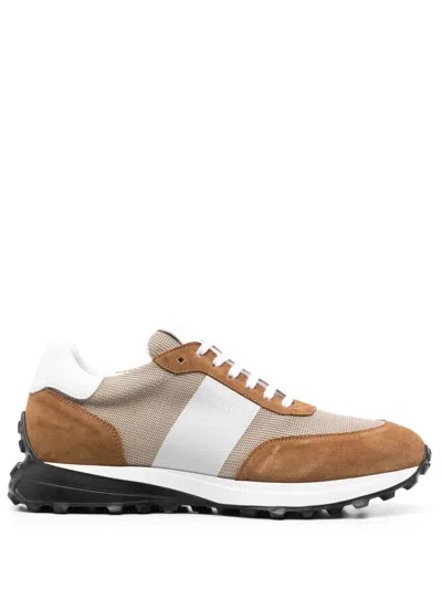 Casadei Low-top Sneakers In Braun