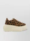Casadei Sneaker Malesia In Brown