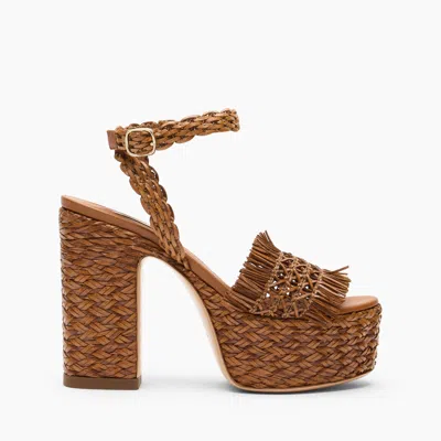 Casadei Madagascar Platform - Woman Platforms Havana 40.5 In Brown