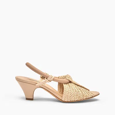 Casadei Muny Sandal - Woman Sandals Sandstone 36 In Brown