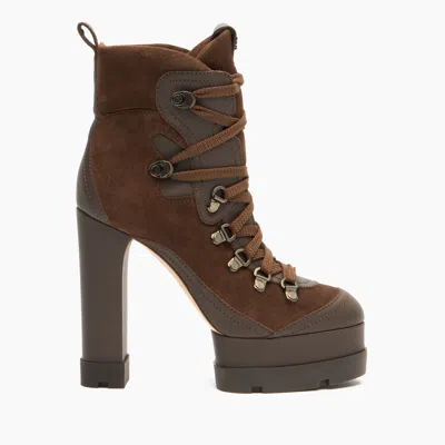 Casadei Nancy Ankle Boot - Woman Ankle Boots Cacao 40 In Brown