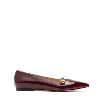 Casadei New Ballerina Cleo - Woman Flats And Loafers Ladybug 38 In Brown