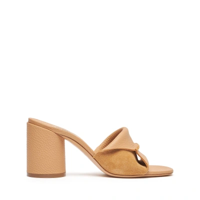 Casadei Parma Cleo Mules - Woman Mules Toffee 41
