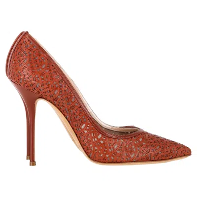 Casadei Pointed Lasercut Pumps In Brown Leather