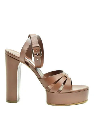 Casadei Pumps In Brown