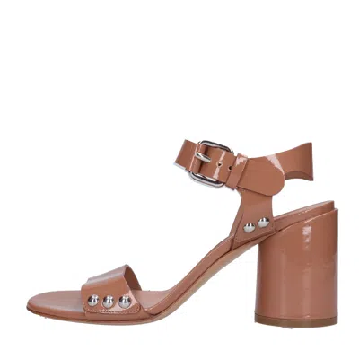 Casadei Sandals Brown In Marrone Marroni