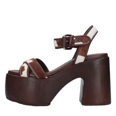 Casadei Sandals Brown In Marrone Marroni