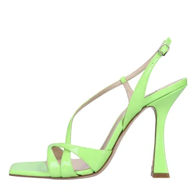 Casadei Sandals Green In Verde Blu E Verdi
